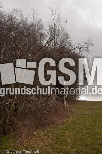 Hochstände (117 von 154).jpg